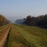 S’évader sur les zones forestières vertes